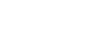 Digital Dimensions Inc